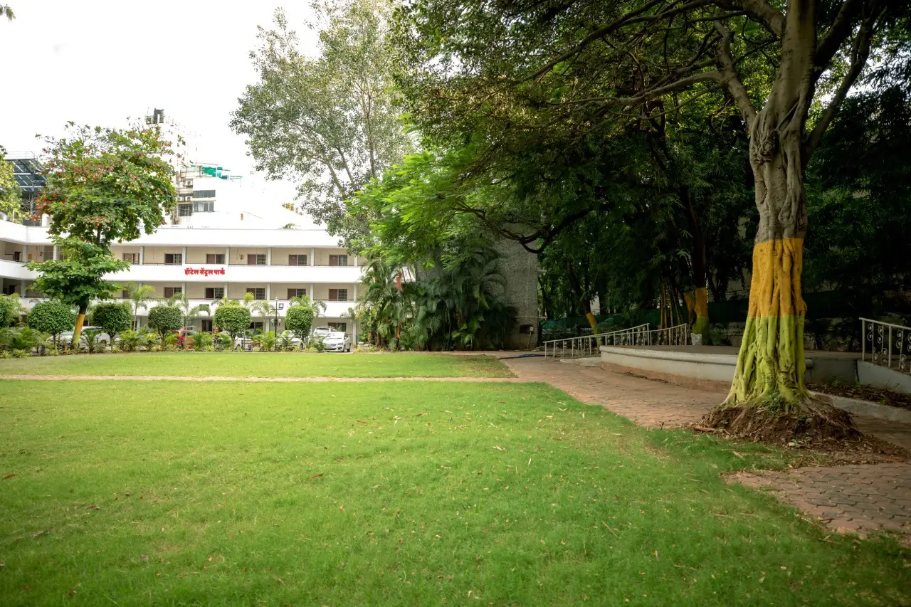 gallery-3